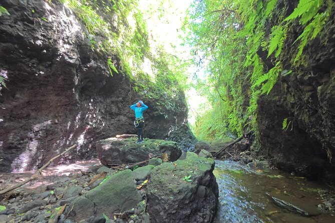 Bali Canyoning Trip – Explore Hidden Waterfalls & Gorges - Safety gear, briefing, and first-time confidence in the canyon