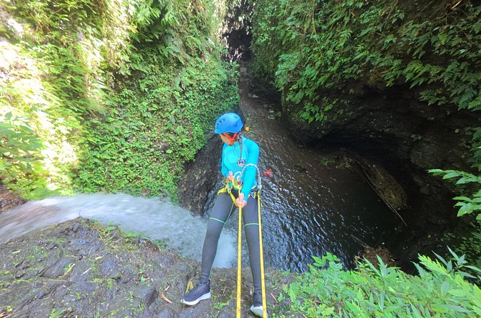 Bali Canyoning Trip – Explore Hidden Waterfalls & Gorges - Price and value: what $152.73 really covers