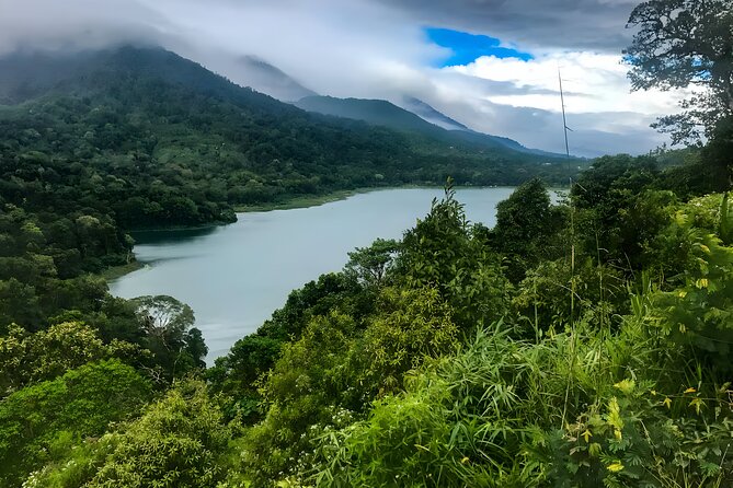 Bali Car Charter with English Speaking Driver - Stop 3, Sacred Monkey Forest Sanctuary in Ubud: Beautiful, Spiritual, and Chaotic