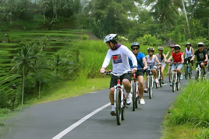 Bali Countryside Eco Cycling Tour include Lunch - Transport, bikes, helmets, and the small extras that matter