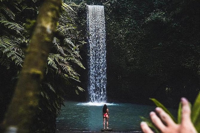 Bali Culture and Choose Your Bali Tour Route in Bali with Bali driver-Free WIFI - Tegalalang rice terraces and Tirta Empul purification rituals