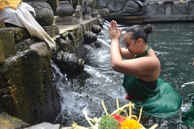Bali Culture And Spring Temple Private Guided Tour - Door-to-Door Pickup From Seminyak To Ubud, Plus The Comfort Factor