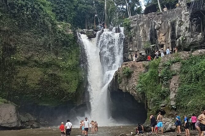 Bali Culture And Spring Temple Private Guided Tour - Tegalalang Rice Terrace And Optional Swing: Views Plus Lunch Choices