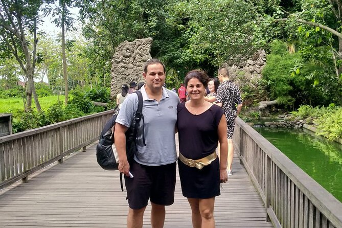 Bali Culture And Spring Temple Private Guided Tour - Tegenungan Waterfall In Afternoon Light: A Photo Stop With Timing