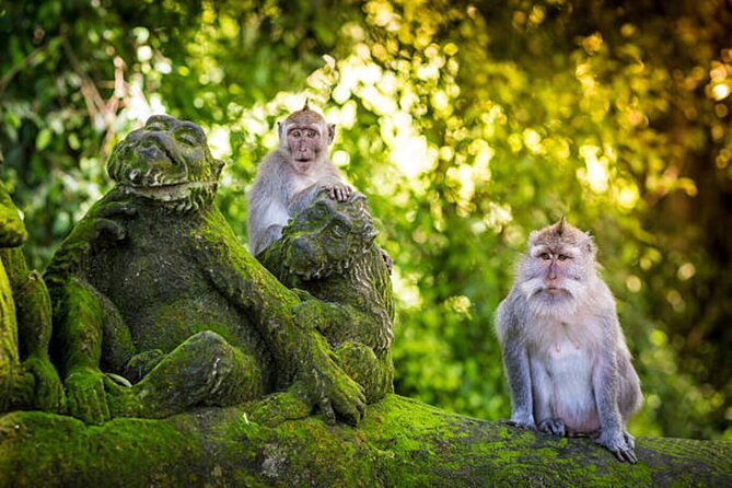Bali Customized Private Tour - Price and value: what $31.47 per person really buys