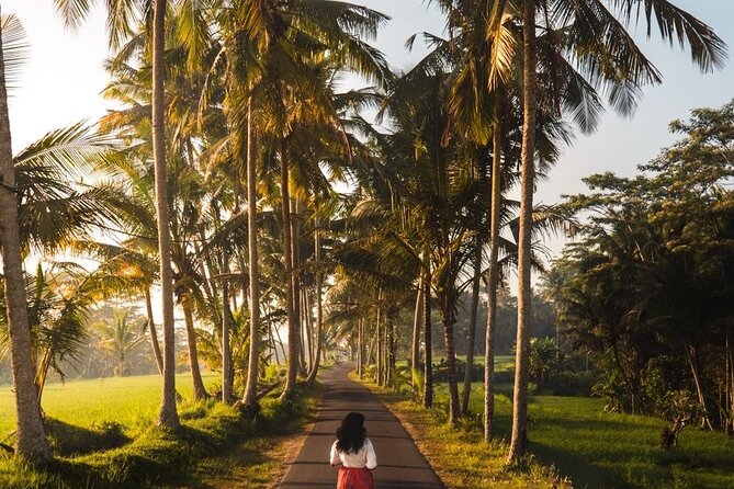 Bali Customized Tour Private Car and Driver - Tirta Empul and Taman Ayun: sacred water and elegant grounds