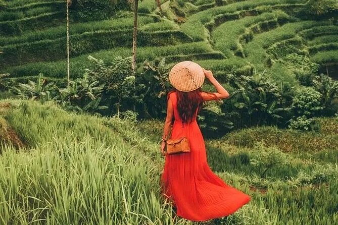 Bali Day Trip to Ubud Highlight Tour and Tanah Lot Temple - Stop 2: Sacred Monkey Forest Sanctuary and Hindu temple atmosphere