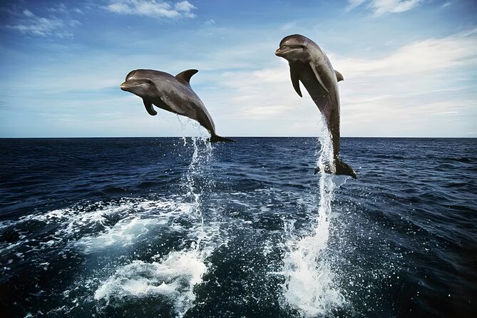 Bali Dolphin Watching Sunrise Tour in Lovina Beach - Lovina Beach at 3:00 am, and why sunrise matters