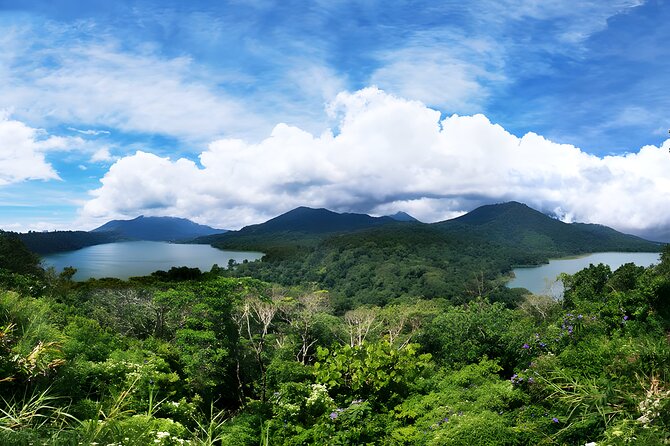 Bali Dolphin Watching Sunrise Tour in Lovina Beach - Lunch with lake and temple views, if you pick the buffet option