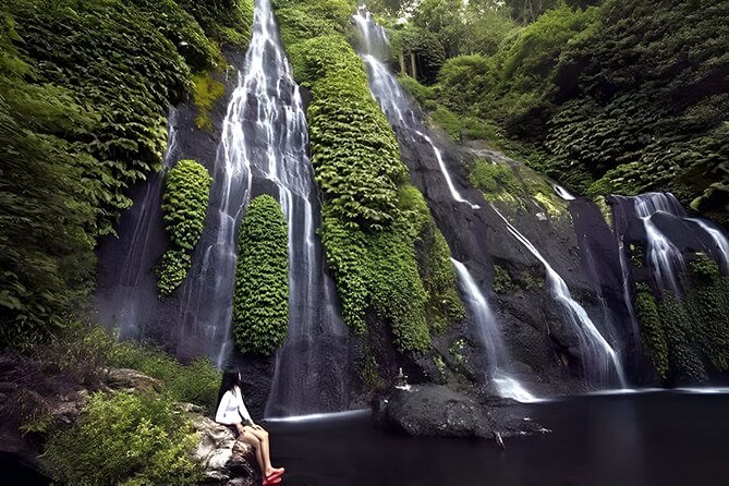 Bali Full-Day Hidden Hills, Twin Waterfalls and Hot Spring Tour - Key things that make this tour work