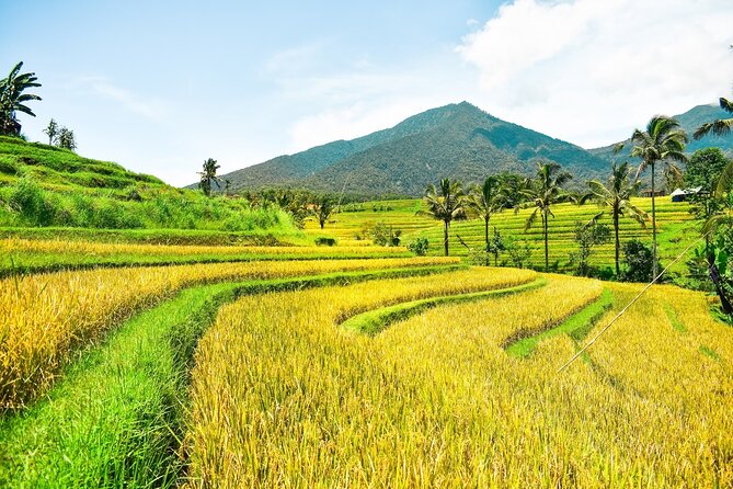 Bali Full-Day Private Customize Tour - The “big Bali icons” route, without the cattle-car feel