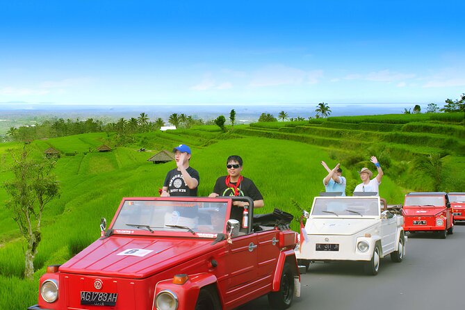 Bali Full-Day The Gate of Heaven Tour by VW Safari Classic Car - The road trip flavor: passing temples, a palace, and salt mining