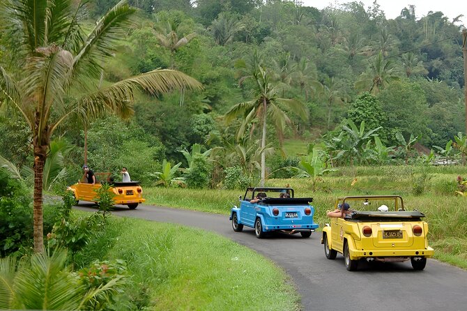 Bali Full-Day The Gate of Heaven Tour by VW Safari Classic Car - Lunch timing and how to plan your energy