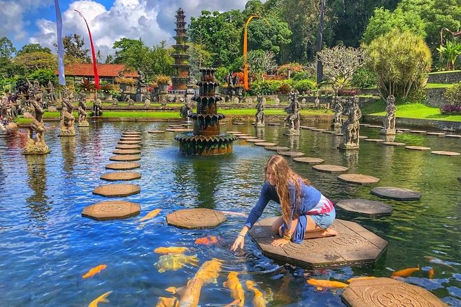 Bali Full Day Tour | Individual Route in Bali | Bali Guide | Free Wi-Fi - Ubud and central Bali: Monkey Forest, Tegalalang, and Tirta Empul