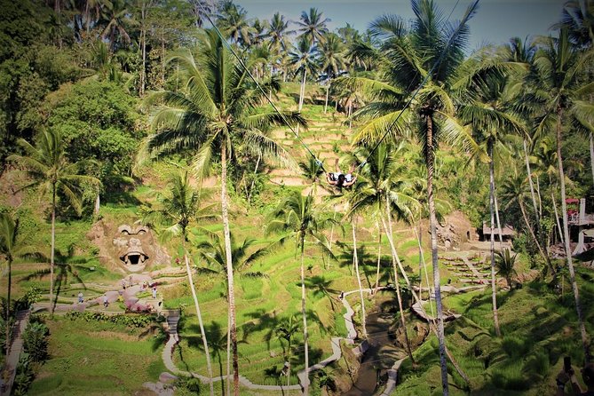 Bali Full Day Tour | Individual Route in Bali | Bali Guide | Free Wi-Fi - West Bali icons: Tanah Lot and Jatiluwih UNESCO terraced rice