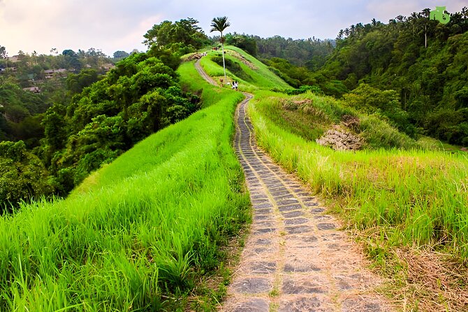 Bali Full Day-Tour: Ubud Sightseeing Trip - A private Ubud day that actually stays practical
