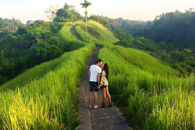Bali Full Day-Tour: Ubud Sightseeing Trip - Sacred Monkey Forest Sanctuary: close-up macaques, with good sense