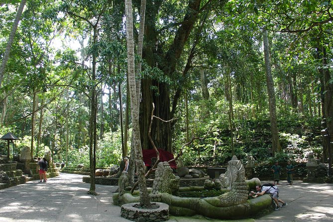 Bali Full-Day Traditional Village Sightseeing Trip All Inclusive - Luwak coffee and rice field time: what’s included and what to consider