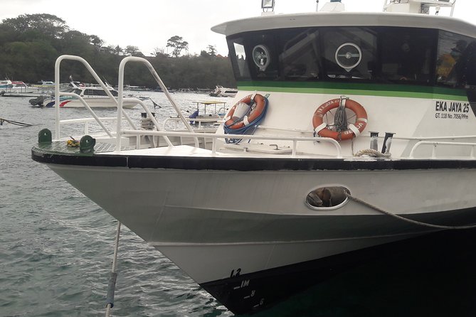Bali Gili Island Fast Boat Ticket All Inclusive - Express boarding at Padangbai: how to handle the port vibe