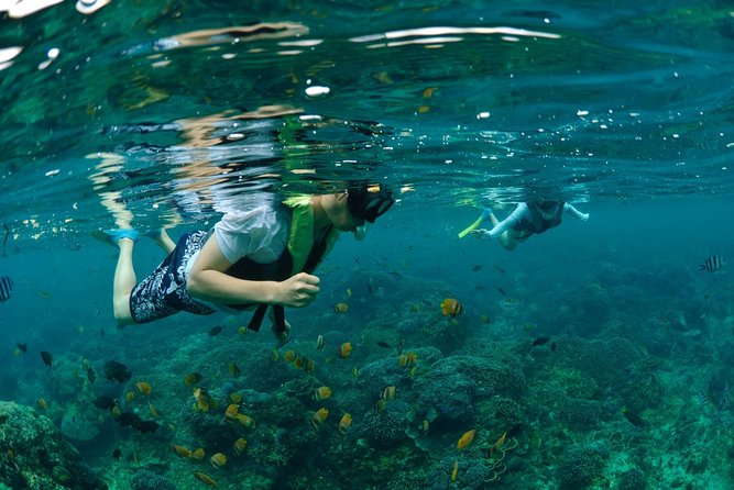 Bali Hai - Aristocat Sailing Cruise - Aristocat Onboard: Comfort Plus a Manageable Group Size