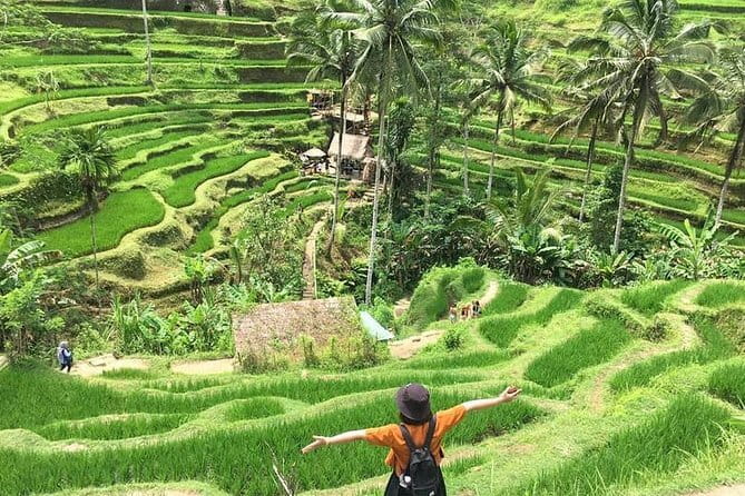 Bali Highlight Private Packages Tours 3 Days - Price and value: what $180 per person really buys you
