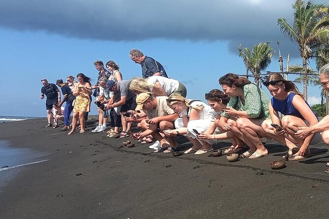 Bali Horse Riding and Turtle Release at Saba Beach - Turtle release at Saba Asri: learning that leads to action