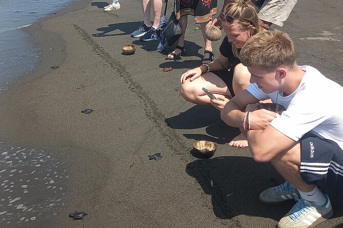 Bali Horse Riding and Turtle Release at Saba Beach - Who should book this tour, and who might skip it