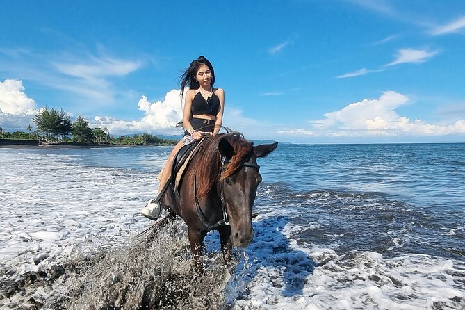 Bali Horse Riding and Turtle Release at Saba Beach - Should you book Bali Horse Riding and Turtle Release at Saba Beach?