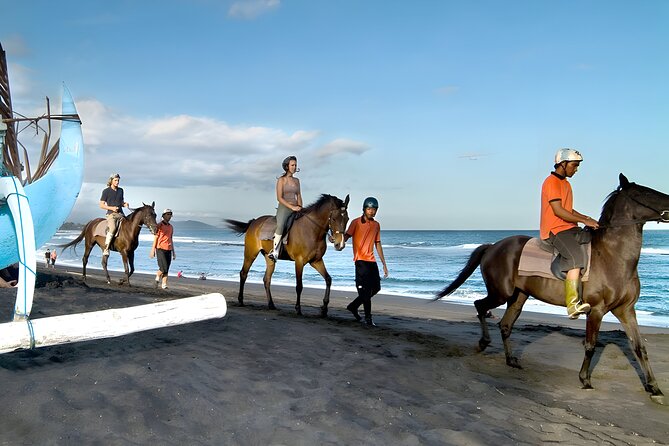 Bali Horse Riding in Saba Bay for 1 Hour with Pick Up Service - From your hotel to Saba Bay: pickup and timing that matter