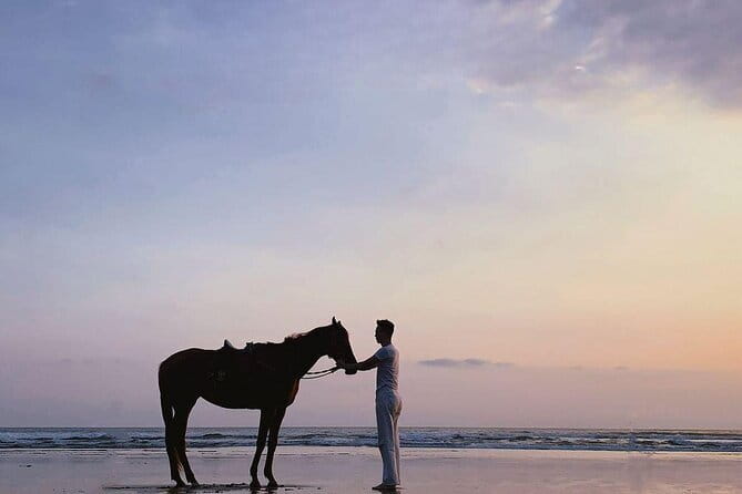 Bali Horse Riding Sanur Beach include Transport - Through Denpasar and the Countryside to Tangtu Beach