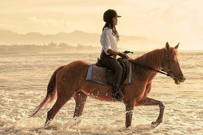 Bali Horse Riding, Waterfall, Rice Terrace, Lunch - All Inclusive - Quick take: what you’ll feel most on this tour
