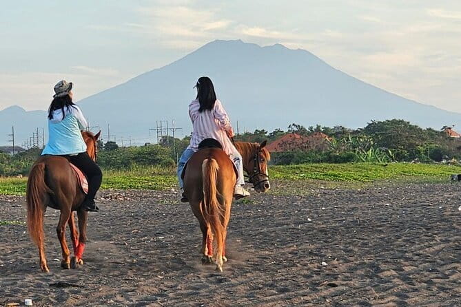 Bali Horse Riding, Waterfall, Rice Terrace, Lunch - All Inclusive - The big picture: why this itinerary works