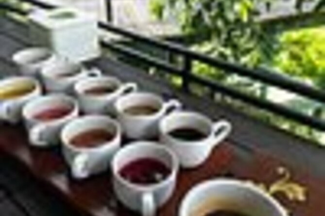 Bali in 1-Day : Rice Terrace, Volcano, Tanah lot - All Inclusive - Tegalalang Rice Terrace: Farmer Activity Plus Classic Bali Views