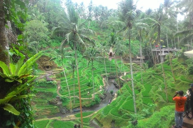 Bali in 1-Day : Rice Terrace, Volcano, Tanah lot - All Inclusive - Kintamani Highland and Lake Batur Views Over Lunch