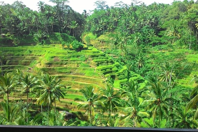 Bali in 1-Day : Rice Terrace, Volcano, Tanah lot - All Inclusive - Pura Puseh Desa Batuan Temple: Carving Details and Hindu Meaning