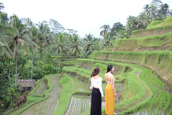 Bali Instagram Most Iconic Spots Private Tour - Your 7:00 am Start, Pickup, and How the Day Feels in Real Time