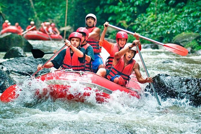 Bali Jungle Swing and White Water Rafting All Inclusive - Door-to-door pickup in Seminyak, and how the small group affects your day