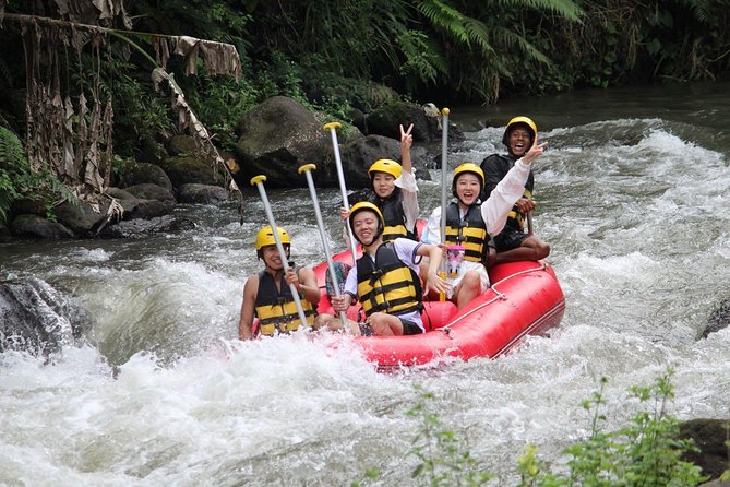 Bali Jungle Swing and White Water Rafting All Inclusive - Guides and drivers: why names like Dewa and Wayan Suyasa matter