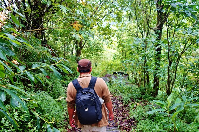 Bali Jungle Trekking in Beautiful Rainforest - Buyan Lake stop: the twin-lake vibe for another hour outdoors