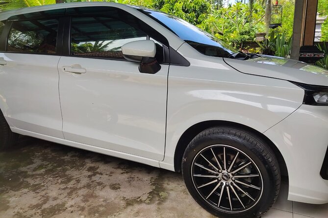 Bali Private Car and Customize Tour With English Speaking Driver - Your driver matters: why Putu stands out