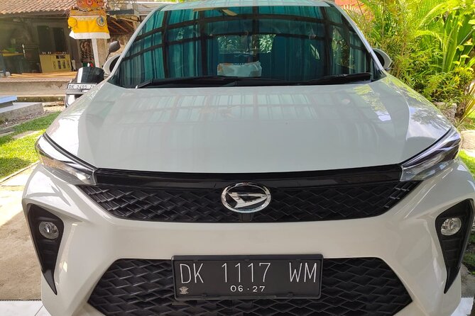 Bali Private Car and Customize Tour With English Speaking Driver - Who this tour suits best