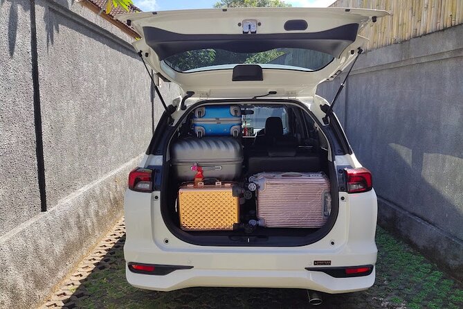 Bali Private Car Charter & Customize Tour With Driver English Speaking-Free WiFi - Why a private car with an English driver beats “winging it” in Bali