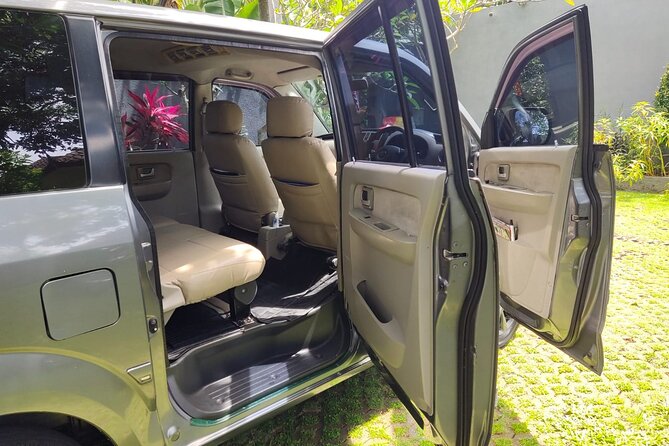 Bali Private Car Charter & Customize Tour With Driver English Speaking-Free WiFi - Monkey Forest, Tegalalang rice terraces, and the Aloha Swing photo run