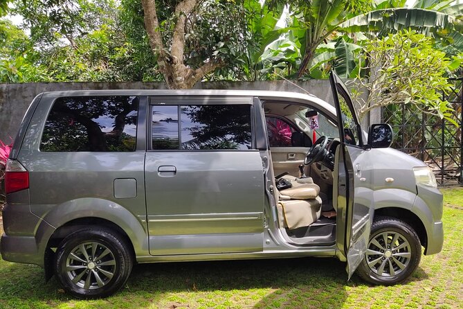 Bali Private Car Charter & Customize Tour With Driver English Speaking-Free WiFi - Coffee plantation, herbal samples, batik making, and silver jewelry