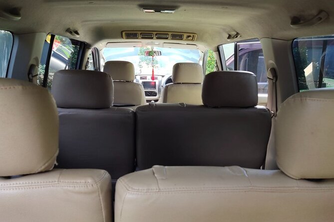 Bali Private Car Charter & Customize Tour With Driver English Speaking-Free WiFi - Ubud art market and crafting stops without turning into a shopping day