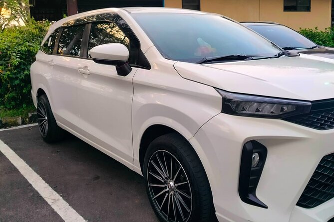 Bali Private Car Charter & Customize Tour With Driver English Speaking-Free WiFi - Temple visits: Batuan, Tirta Empul, Saraswati, Uluwatu, and Tanah Lot