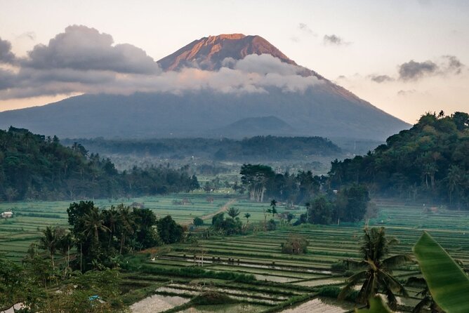 Bali Private Car Charter with English Speaking Driver - Key highlights I’d bet your day on