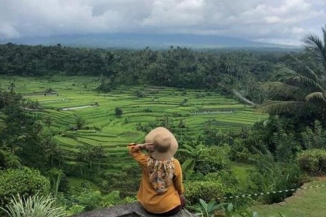 Bali Private Car Charter with English Speaking Driver - Price and logistics: what $25 buys you in real life