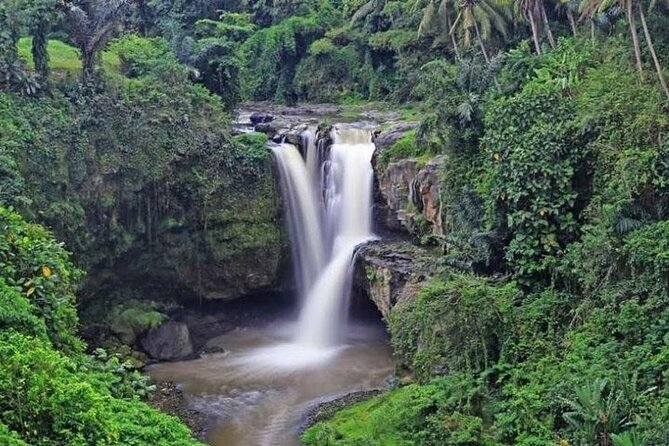 Bali Private Car Charter with English Speaking Driver Or Guide - How to Set Up a Route That Feels Like Your Bali