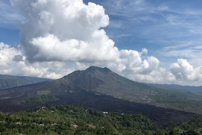 Bali Private Car Charter With English Speaking Driver To Ubud Area - The 10-Hour Day From Seminyak: What Timing Feels Like